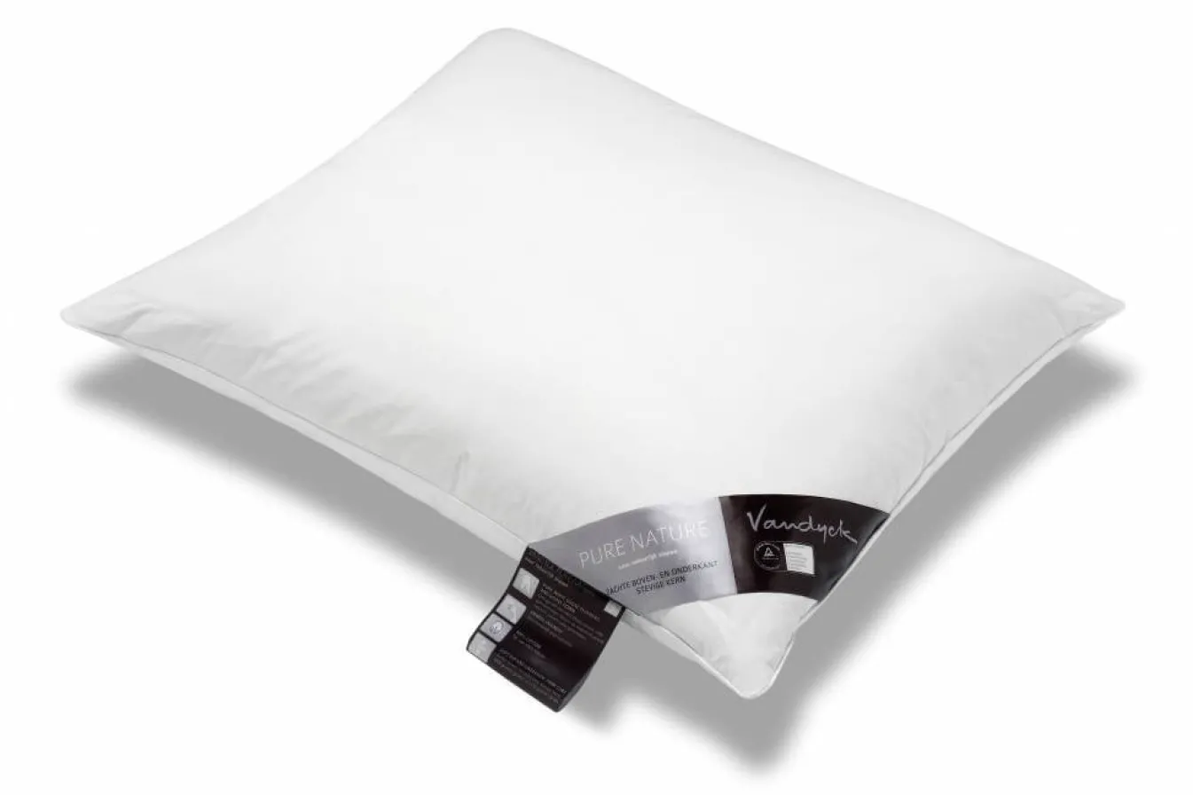 Sale Bath & Living Vandyck 3-room pillow PURE NATURE 65 (black label) BE101 559 007